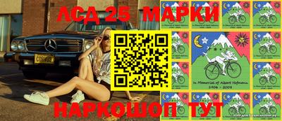 гашик Ирбит