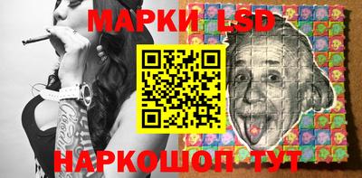шишки Изобильный