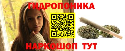 шишки Изобильный