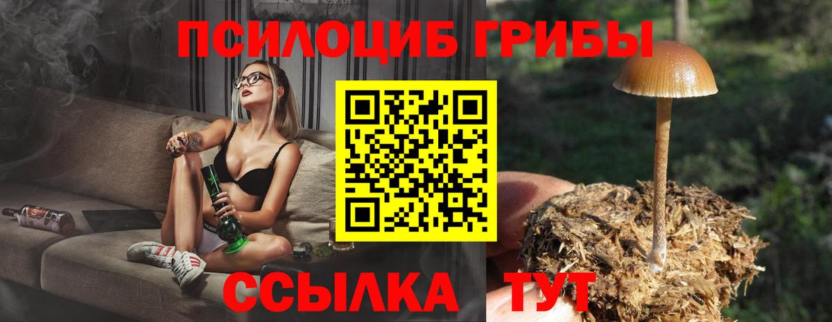 Галлюциногенные грибы прущие грибы  Вход с VPN  Галлюциногенные грибы ЛСД  Кудымкар 